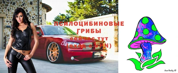 меф VHQ Богданович